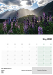 Colour Landscapes