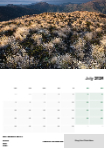 Colour Landscapes