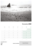 Landscapes