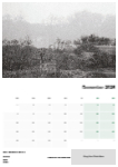 Landscapes