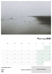 Landscapes