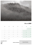 Landscapes