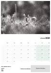 Landscapes