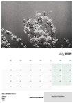 Landscapes