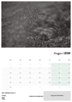 Landscapes